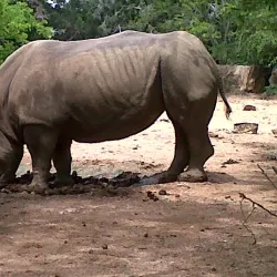 Parque Zoológico y Botánico Bararida - Barquisimeto