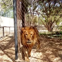 Parque Zoológico y Botánico Bararida - Barquisimeto