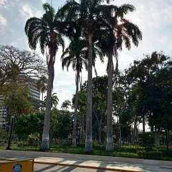 Plaza Bolívar - Barquisimeto