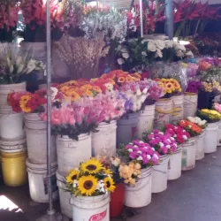 Mercado de Chacao - Caracas