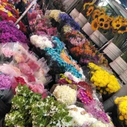 Mercado de Chacao - Caracas