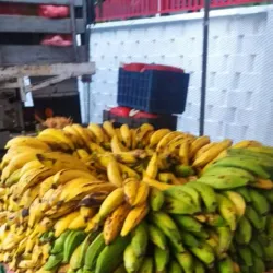Mercado de Chacao - Caracas