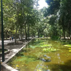 Parque Los Caobos - Caracas