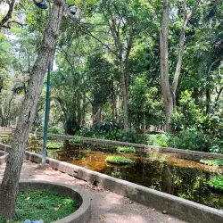 Parque Los Caobos - Caracas