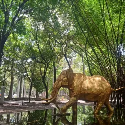 Parque Los Caobos - Caracas