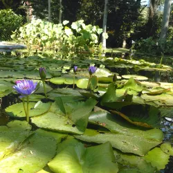 Parque Los Caobos - Caracas