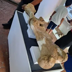 Casa de la Cultura de Coro - Coro