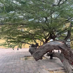 Historic Centre of Coro and its Port La Vela - Coro