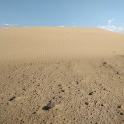 Médanos de Coro National Park - Coro