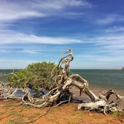 Médanos de Coro National Park - Coro