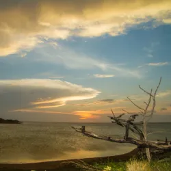Médanos de Coro National Park - Coro