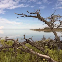 Médanos de Coro National Park - Coro
