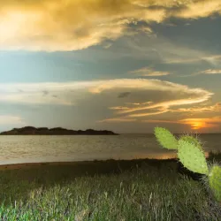 Médanos de Coro National Park - Coro