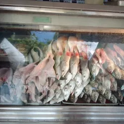 Mercado Municipal de Coro - Coro