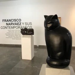 Museo de Arte Contemporáneo Francisco Narváez - Coro