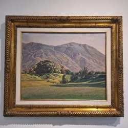 Museo de Arte Contemporáneo Francisco Narváez - Coro