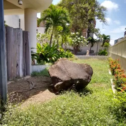 Museo de Arte Contemporáneo Francisco Narváez - Coro