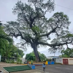 Parque Recreacional La Laguna - Guanare