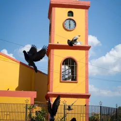 Guasdualito Cathedral (Catedral de Guasdualito) - Guasdualito