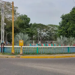 Guasdualito Central Market - Guasdualito