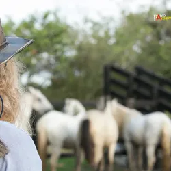 Llanos Wildlife Watching - Guasdualito