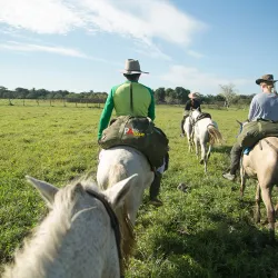 Llanos Wildlife Watching - Guasdualito