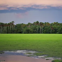 Llanos Wildlife Watching - Guasdualito