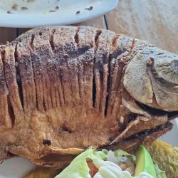 Traditional Llanero Cuisine Restaurants - Guasdualito