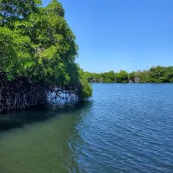 La Restinga National Park - Isla de Margarita