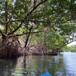 La Restinga National Park - Isla de Margarita