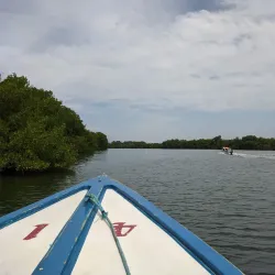 La Restinga National Park - Isla de Margarita