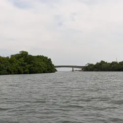 Laguna de La Restinga - Isla de Margarita