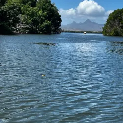 Laguna de La Restinga - Isla de Margarita