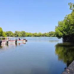 Laguna de La Restinga - Isla de Margarita
