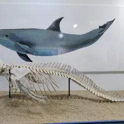 Museo Marino de Margarita - Isla de Margarita