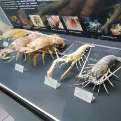 Museo Marino de Margarita - Isla de Margarita