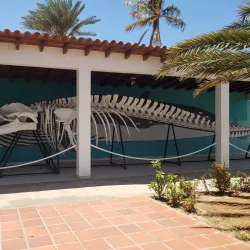 Museo Marino de Margarita - Isla de Margarita