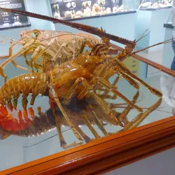 Museo Marino de Margarita - Isla de Margarita