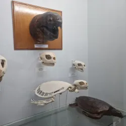 Museo Marino de Margarita - Isla de Margarita