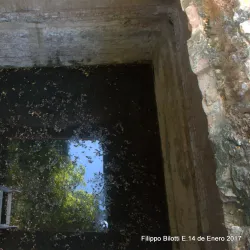 Casa de la Capitulación de Maracaibo - Maracaibo