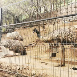 Parque Metropolitano - Maracaibo