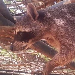 Parque Metropolitano - Maracaibo