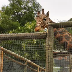 Parque Metropolitano - Maracaibo