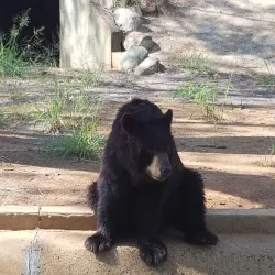 Parque Metropolitano - Maracaibo