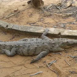 Parque Metropolitano - Maracaibo