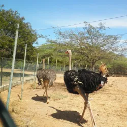 Parque Metropolitano - Maracaibo
