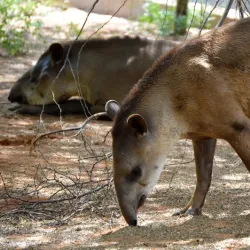 Parque Metropolitano - Maracaibo