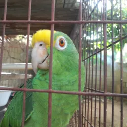 Parque Metropolitano - Maracaibo