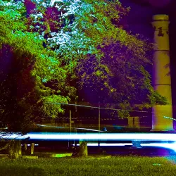 Parque El Limón - Maracay