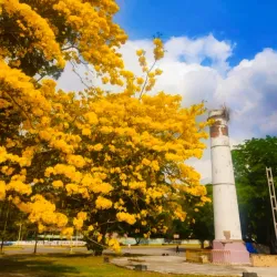 Parque El Limón - Maracay